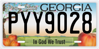 GA license plate PYY9028