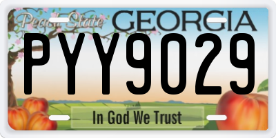 GA license plate PYY9029