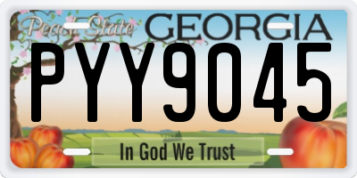 GA license plate PYY9045