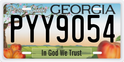 GA license plate PYY9054