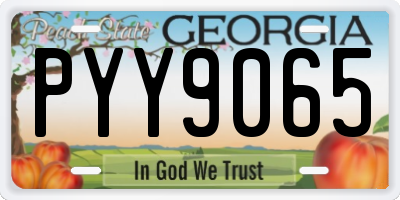 GA license plate PYY9065
