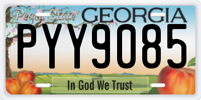 GA license plate PYY9085