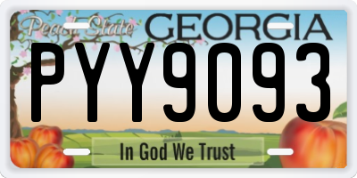 GA license plate PYY9093