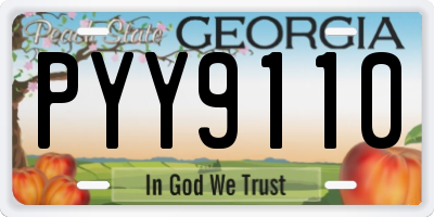 GA license plate PYY9110