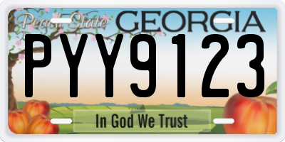 GA license plate PYY9123