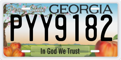 GA license plate PYY9182