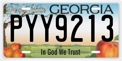 GA license plate PYY9213
