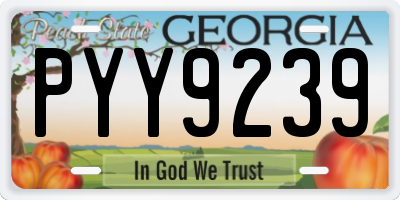 GA license plate PYY9239