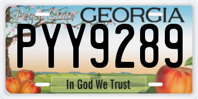 GA license plate PYY9289