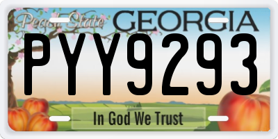 GA license plate PYY9293