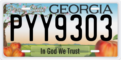 GA license plate PYY9303