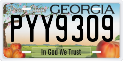 GA license plate PYY9309