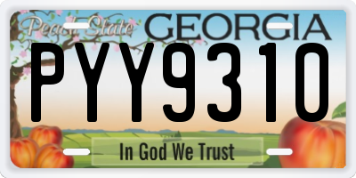GA license plate PYY9310