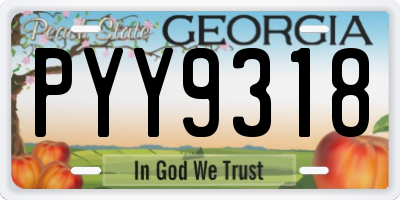 GA license plate PYY9318