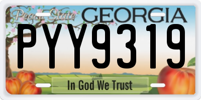 GA license plate PYY9319