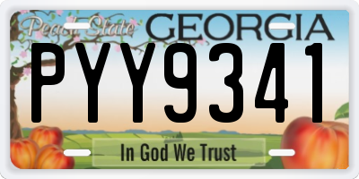 GA license plate PYY9341