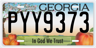 GA license plate PYY9373