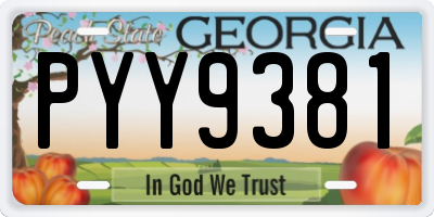 GA license plate PYY9381