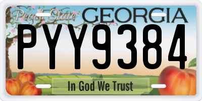 GA license plate PYY9384