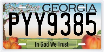 GA license plate PYY9385