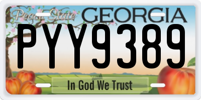 GA license plate PYY9389