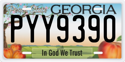 GA license plate PYY9390
