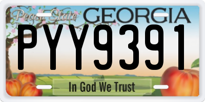 GA license plate PYY9391
