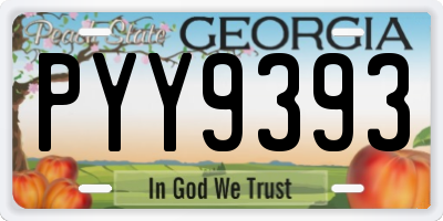 GA license plate PYY9393