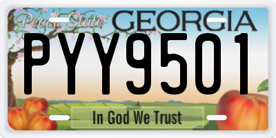 GA license plate PYY9501