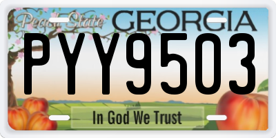 GA license plate PYY9503