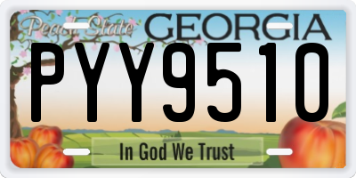 GA license plate PYY9510