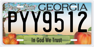 GA license plate PYY9512