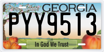 GA license plate PYY9513