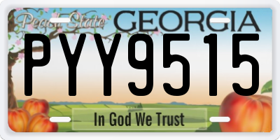 GA license plate PYY9515