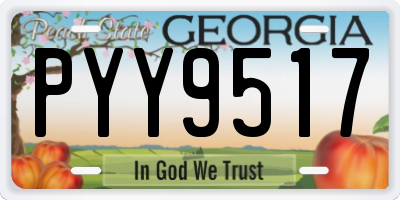GA license plate PYY9517