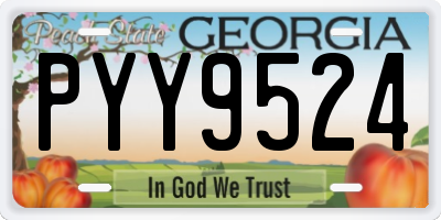 GA license plate PYY9524
