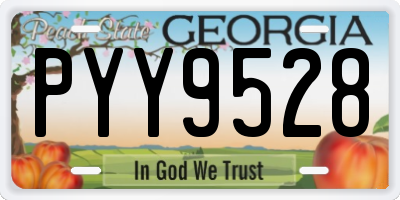 GA license plate PYY9528