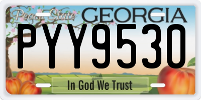 GA license plate PYY9530