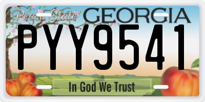 GA license plate PYY9541