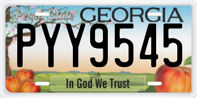 GA license plate PYY9545