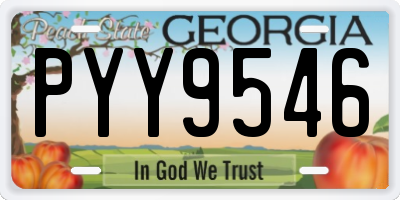 GA license plate PYY9546