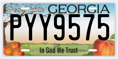 GA license plate PYY9575