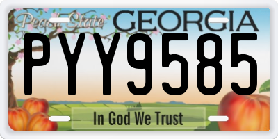GA license plate PYY9585