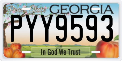 GA license plate PYY9593