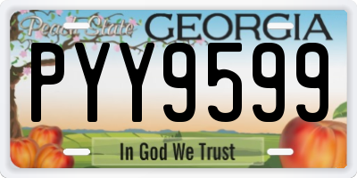 GA license plate PYY9599