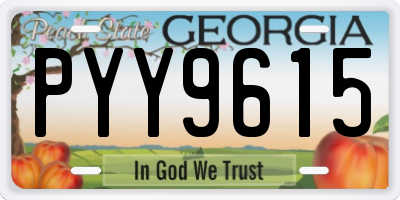 GA license plate PYY9615