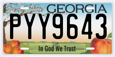 GA license plate PYY9643