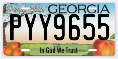GA license plate PYY9655
