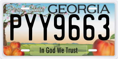 GA license plate PYY9663