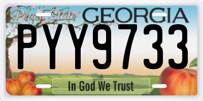 GA license plate PYY9733